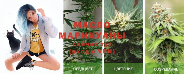 сатива Алексин