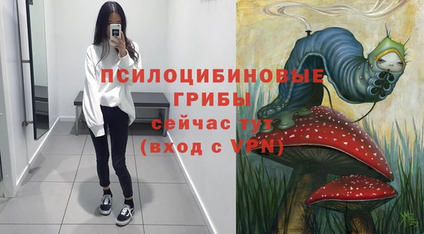 сатива Алексин