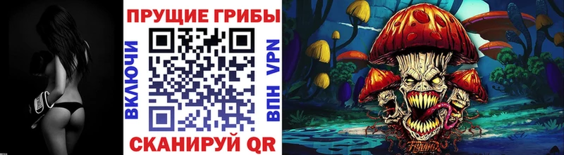 как найти закладки  Павловская  Псилоцибиновые грибы ЛСД 